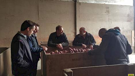 Vertegenwoordigers vanuit zaadsector,  uienhandel en –teelt beoordelen de uien in de bewaarproef. Foto: Eric Moerdijk