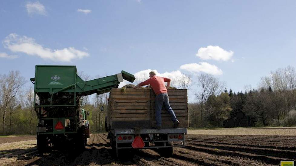 Wim Leisink (oranje trui) is heel tevreden over de oogst van 2016. „We hebben zelden zo goede planten gehad!”, zegt hij.