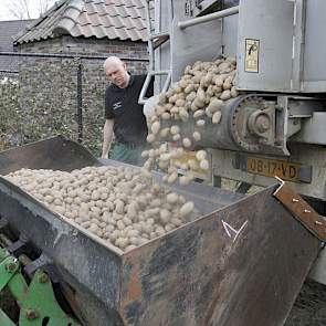 De 3 hectare die dinsdag gepoot zijn dienen voor de pootgoedvermeerdering.