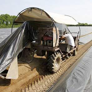 Eenmaal van het land gaan de asperges naar de koeling. Daar laat Hendiksen ze 8 uur kopje onder staan. „Het is om af te sterven. De sapstroom stopt niet gelijk en als je ze dan niet in water zet, drogen ze uit en krijg je vezelige asperges. Onder water ze