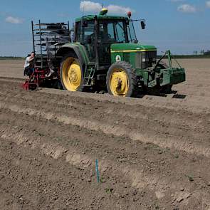 De plantjes worden geplant met een speciaal gebouwde plantmachine van Solynta.