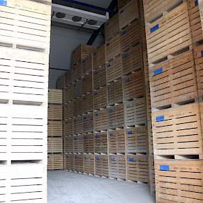 Het enige dat Bentema als minpunt wil aanmerken is de vloer die er op het oog strak bijligt. Maar schijn bedriegt, als je kisten hoog opstapelt is elk hoogteverschil te groot, volgens de akkerbouwer.