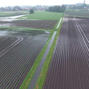 Zondag viel bij Van der Heijden 41 mm, waarvan 20 mm in een half uur tijd. Veel percelen stonden onder water.