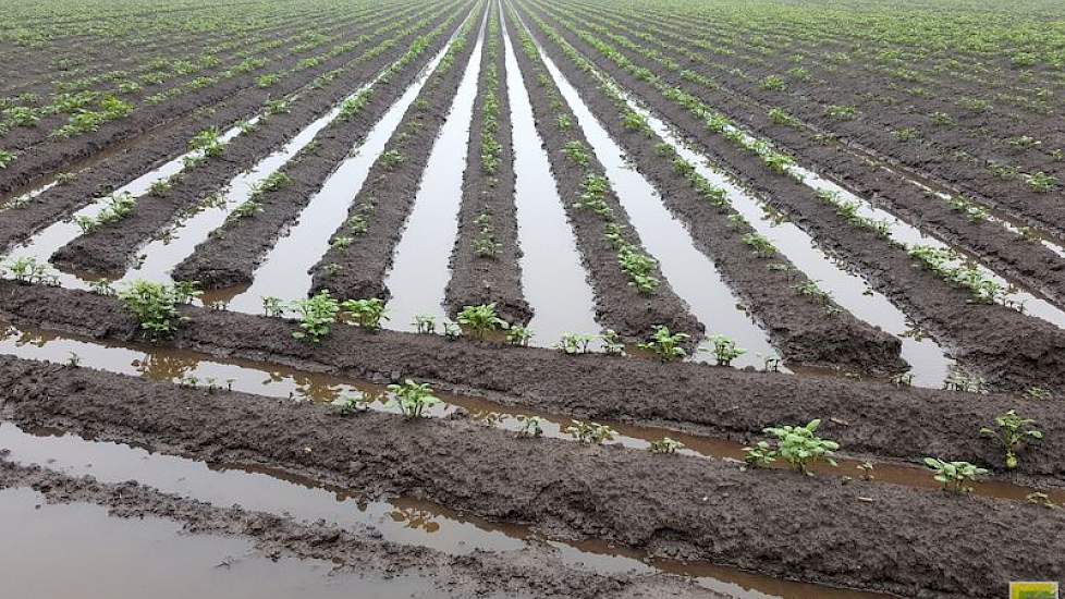 ‘Het water van maandag was er net uit, maar vandaag hebben we alweer 16 mm erbij’, zegt akkerbouwer Twan van der Heijden uit Soerendonk. ‘Alles staat weer vol.’