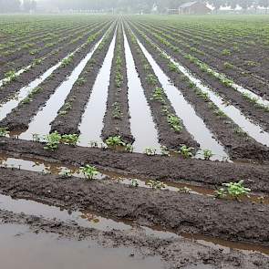 ‘Het water van maandag was er net uit, maar vandaag hebben we alweer 16 mm erbij’, zegt akkerbouwer Twan van der Heijden uit Soerendonk. ‘Alles staat weer vol.’