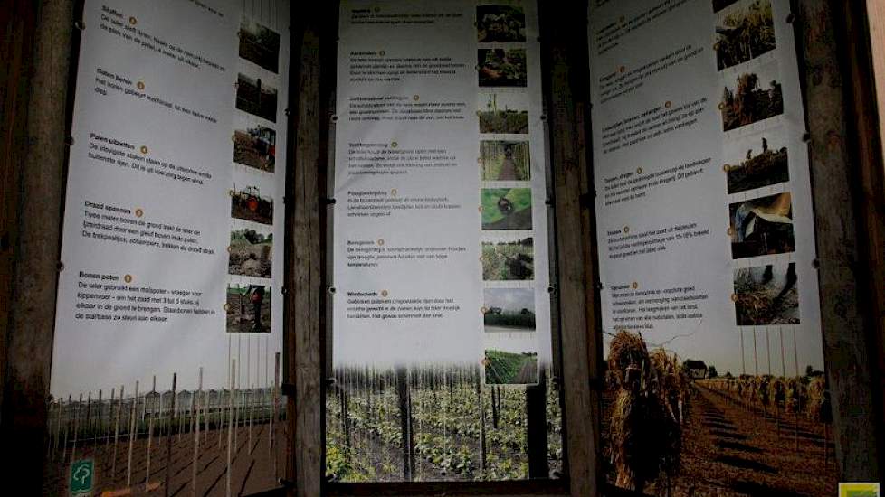 Bezoekers krijgen informatie over de teelt in een speciaal huisje.