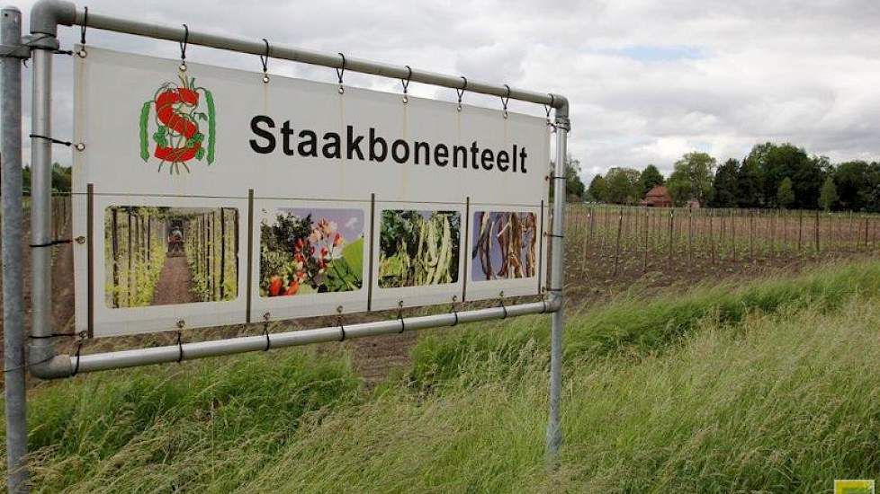 De staakbonenteelt is een lokale specialiteit.
