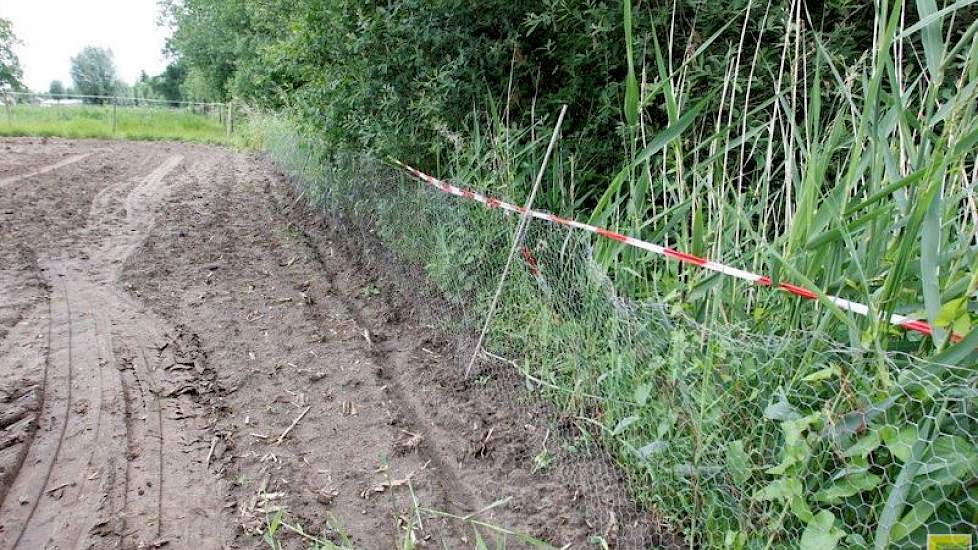 Tegen hazen en konijnen plaatste Bouten gaas.