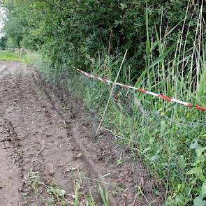 Tegen hazen en konijnen plaatste Bouten gaas.