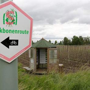 Een speciale route vertelt toeristen meer over de staakbonen in Hegelsom.