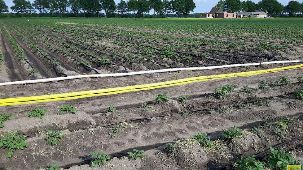 Doelstelling van het project is om zuiniger om te gaan met water, mineralen, gewasbeschermingsmiddelen en energie en met verbetering van opbrengst en kwaliteit van de producten.