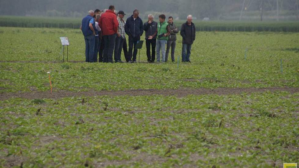 Telers bekeken de resultaten van dichtbij. In Lelystad bleef het droog. Er stond wel een fris windje.