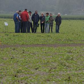 Telers bekeken de resultaten van dichtbij. In Lelystad bleef het droog. Er stond wel een fris windje.