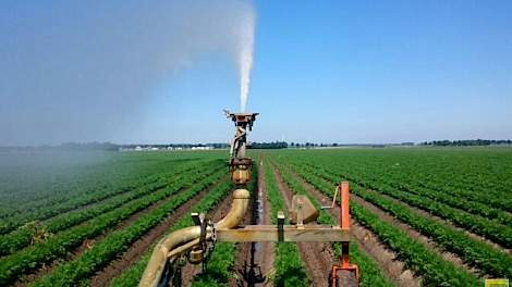 Terwijl Blitterswijk Agro in Biddinghuizen de vroege peen beregent, omdat het gewas behoefte heeft aan water...