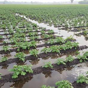 ... weten collega's in het zuiden niet hoe ze het vele water van het land moeten krijgen. Bij akkerbouwer Twan van der Heijden uit Soerendonk viel afgelopen week 181 mm neerslag.