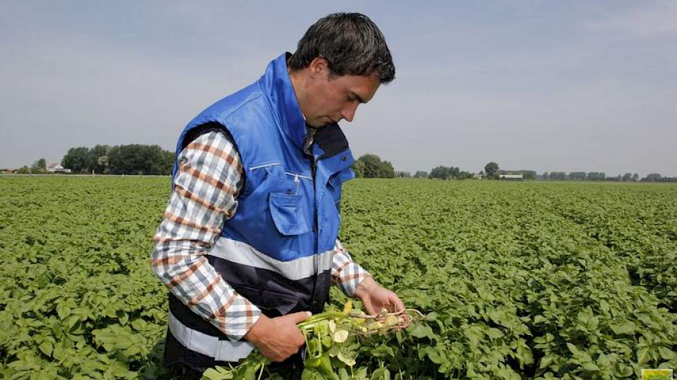 Af en toe trekt hij een plant uit de rug om deze goed te bekijken.