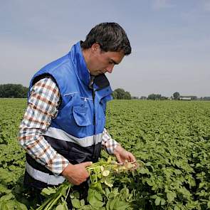 Af en toe trekt hij een plant uit de rug om deze goed te bekijken.