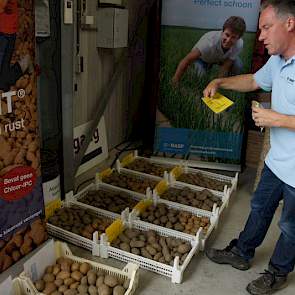 Guus Bergmans van BASF heeft aardappelen mee die bewaard zijn met het nieuwe middel 1,4Sight. Ook na 3 weken uit de bewaring te zijn tonen de aardappelen kiemvrij en stevig. Bergmans noemt als resultaat van onderzoek in de winter dat de werking in combina