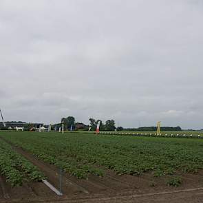 Vlak voor de open dag kreeg Oude-Tonge nog 25 millimeter regen.