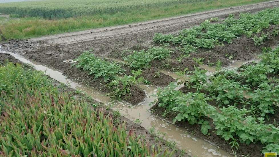 De Noord-Hollandse deltawerken ook weer aangelegd na de vele regen, zegt Frank Hoitink.