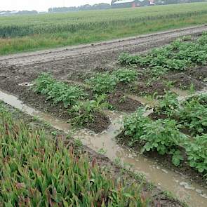 De Noord-Hollandse deltawerken ook weer aangelegd na de vele regen, zegt Frank Hoitink.