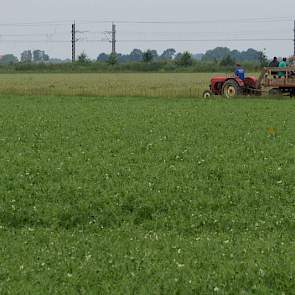 Het ritje trekt gezinnen en vakgenoten naar de boerderij.