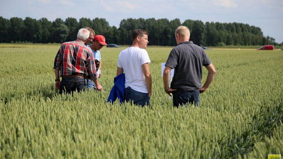 Graan is voor veel boeren in de buurt het specialisme en Ebelsheerd heeft daar traditioneel een accent liggen in het onderzoek.