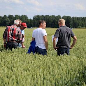 Graan is voor veel boeren in de buurt het specialisme en Ebelsheerd heeft daar traditioneel een accent liggen in het onderzoek.