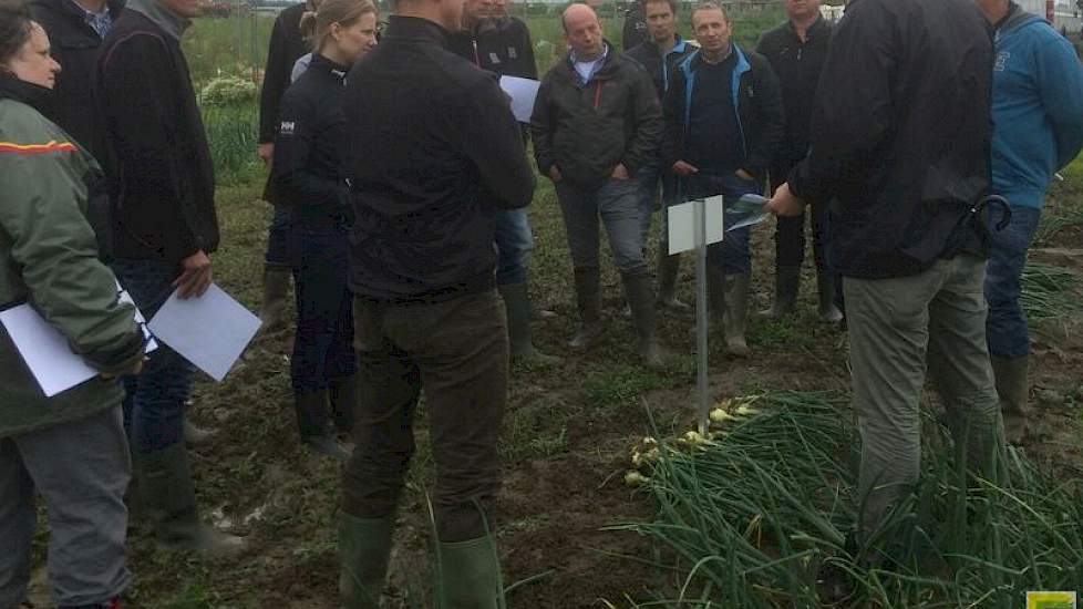 Zaadbedrijf De Groot en Slot hield gisteren een demodag voor plantuien in Sint Annaland.