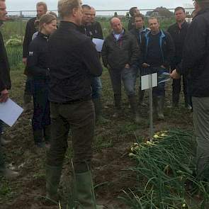 Zaadbedrijf De Groot en Slot hield gisteren een demodag voor plantuien in Sint Annaland.