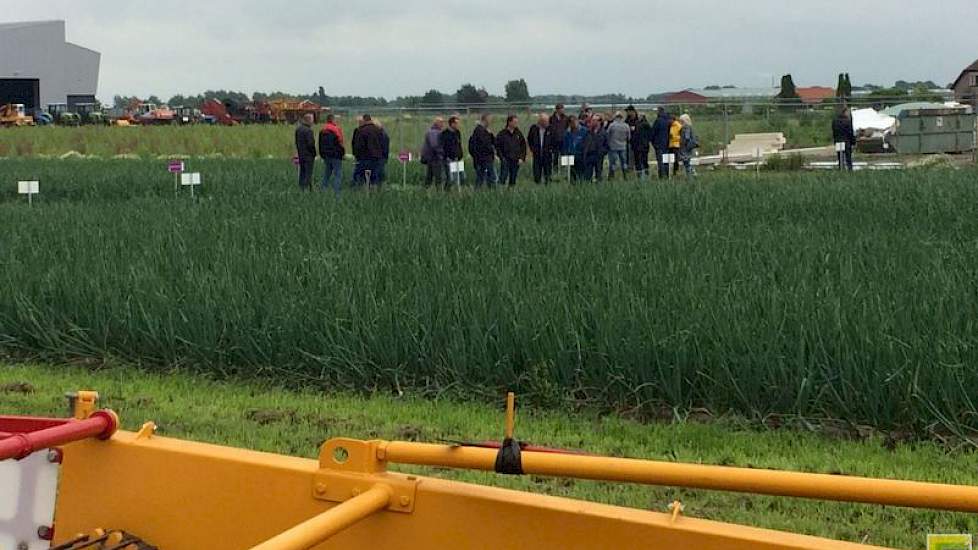 In totaal lagen er twintig rassen, waaronder een aantal nieuwe kruisingen dat als Experimantal in het veld lag.