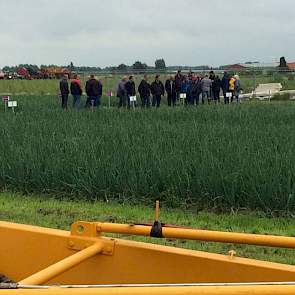 In totaal lagen er twintig rassen, waaronder een aantal nieuwe kruisingen dat als Experimantal in het veld lag.