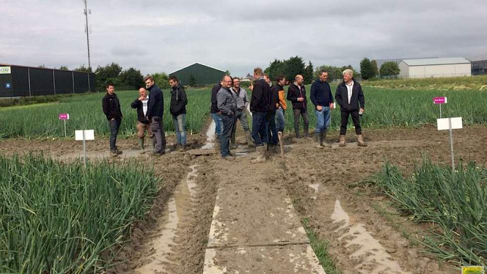 Door het regenachtige weer van de afgelopen weken was het dit jaar een drassige editie, maar dat heeft volgens De Groot en Slot geen invloed gehad op de belangstelling naar de plantuirassen op het demoveld. Op een enkel klein buitje na bleef het droog.