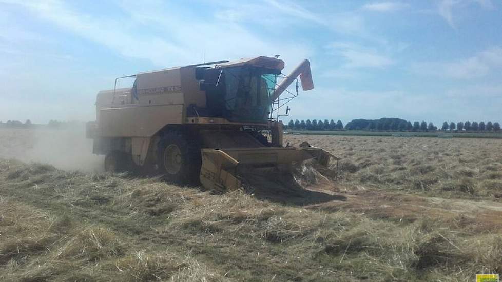 Het gras had 5 dagen in het zwad liggen drogen. Na het maaien kwam een klein buitje, maar het droogde snel daarna.