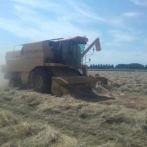 Het gras had 5 dagen in het zwad liggen drogen. Na het maaien kwam een klein buitje, maar het droogde snel daarna.