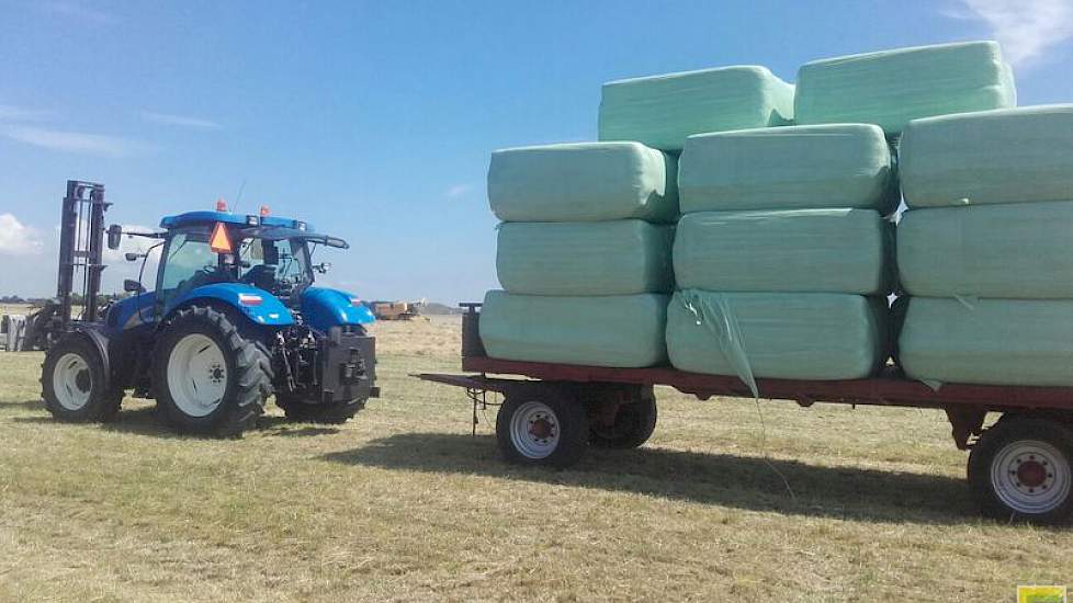 Het hooi is voor de paarden. Het bevat weinig voedingsstoffen, maar kan wel heel geschikt bijgemengd worden bij vochtiger gras. Het bedrijf Horse Improvement van Verhages partner gebruikt het hooi.