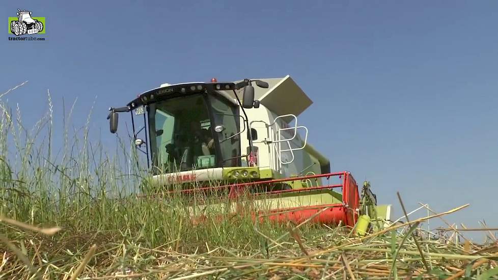 Graszaad van stam dorsen met Claas Lexion 670 TT Terra Tracks Trekkerweb