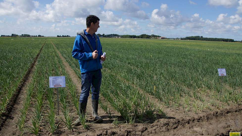 Volgens Luc Remijn levert bijbemesten met sporenelementen lang niet altijd een meetbare meeropname in het uiengewas.