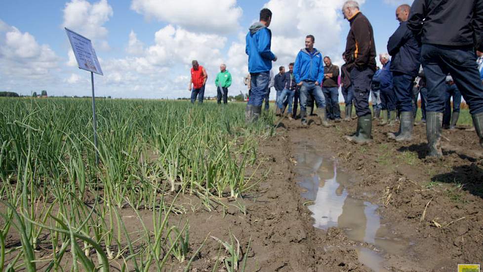 Dit jaar is bijzonder veel water gevallen. Daardoor kunnen meststoffen eventueel uitspoelen.