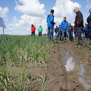 Dit jaar is bijzonder veel water gevallen. Daardoor kunnen meststoffen eventueel uitspoelen.