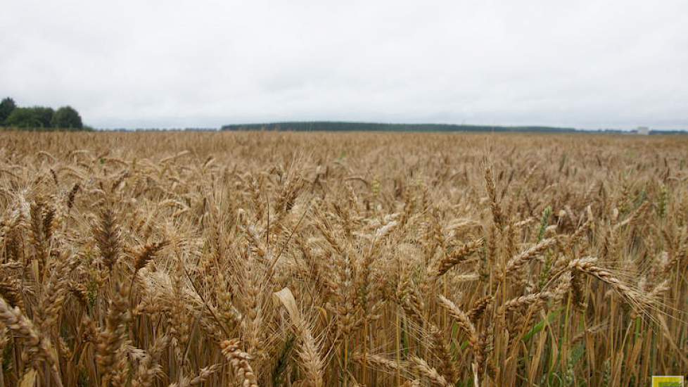 Slechts een kleine groep van ongeveer 20 procent van de akkerbouwers kan zich moeilijk losmaken van het bedrijf en op vakantie gaan.