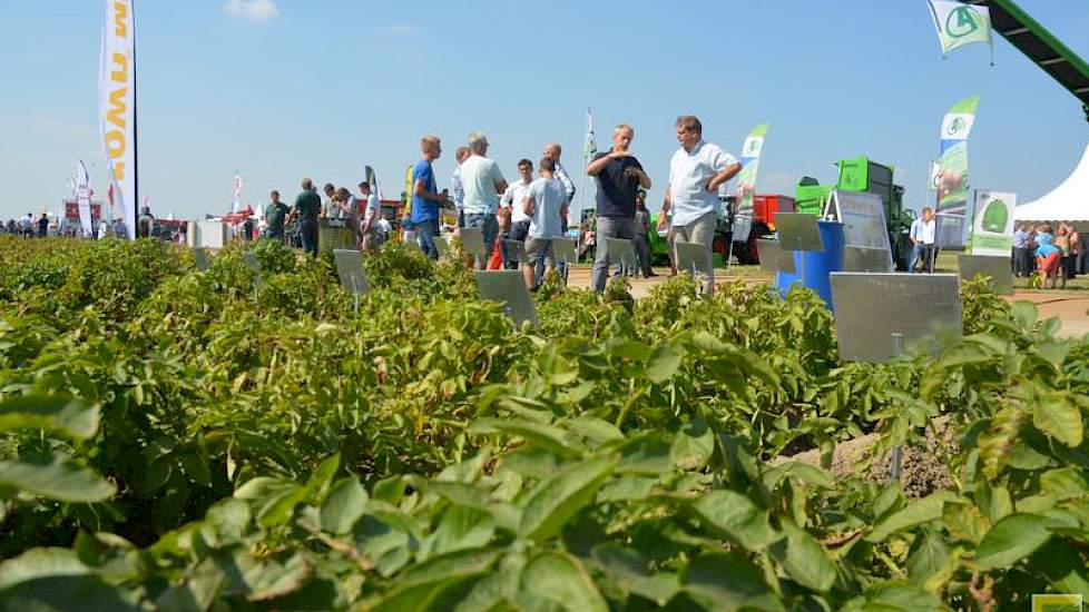 Certis geeft bij enkele proefveldjes uitleg over het middel Crown MH, voor kiem- en spruitremming.