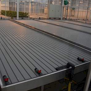 In de compartimenten waar ziektes op de planten worden gebracht is alles hermetisch afgesloten en verdwijnt niets naar buiten dat een bedreiging kan zijn voor de buitenwereld. Inoculum van ziektes uit het lab kan automatisch en gelijkmatig door het hele c