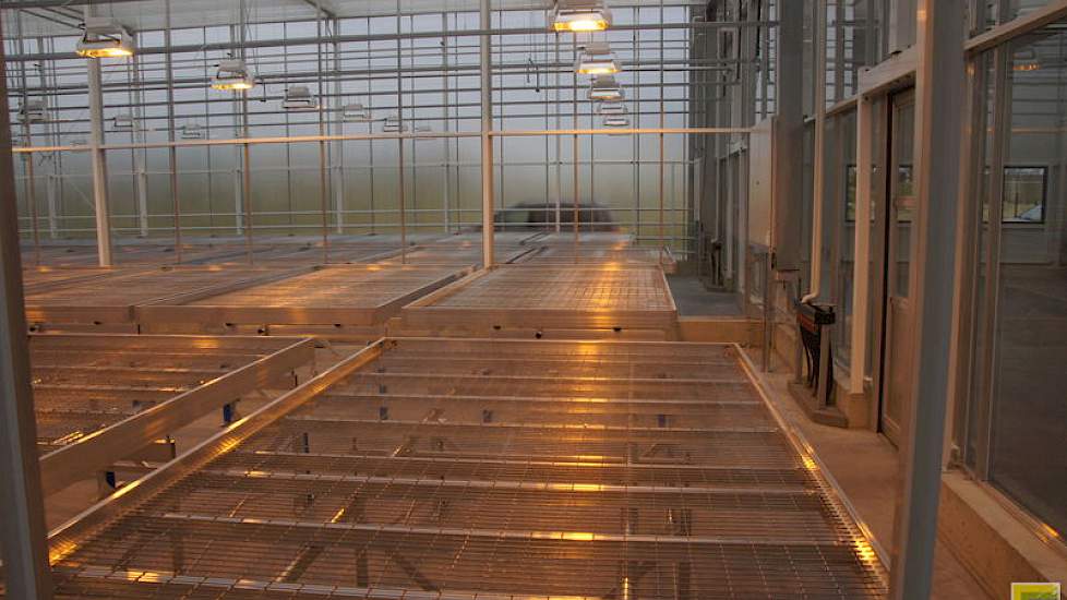 Nog niet alle compartimenten in het 2 hectare grote kassencomplex staan vol. Dat zal spoedig wel zo zijn.