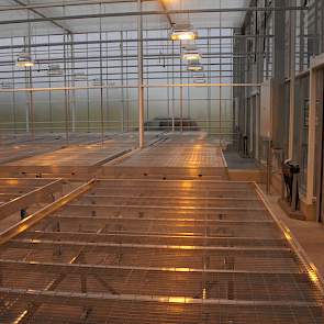 Nog niet alle compartimenten in het 2 hectare grote kassencomplex staan vol. Dat zal spoedig wel zo zijn.
