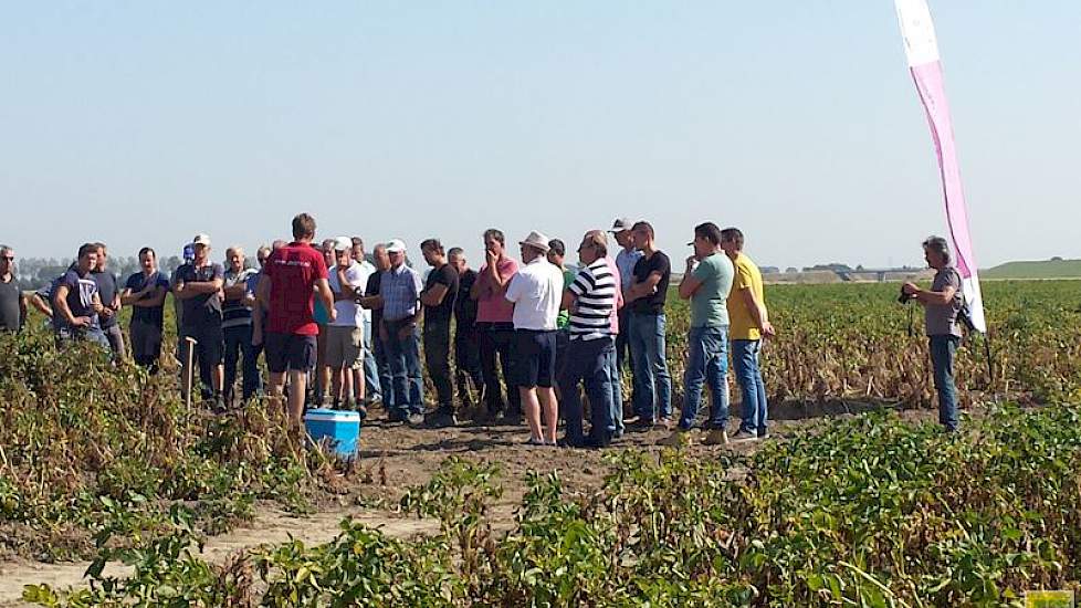 70 tot 80 boeren bezochten de demo met de onderwerpen fritesrassenkeuze, bodembehoud en rooikwaliteit.