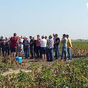 70 tot 80 boeren bezochten de demo met de onderwerpen fritesrassenkeuze, bodembehoud en rooikwaliteit.