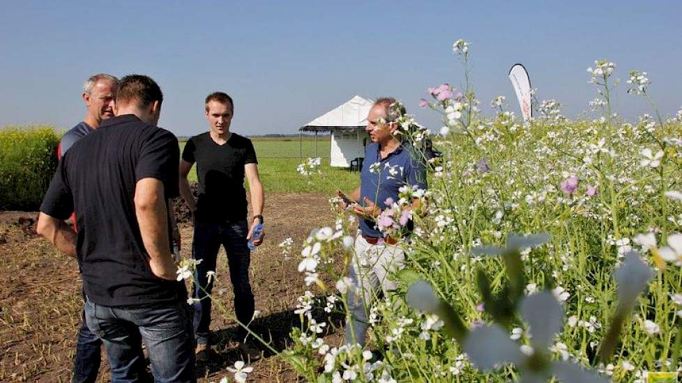 Mensen van Vandinter Semo gaven uitleg over bladrammenas en gele mosterd en andere keuzes in het pakket groenbemesters.