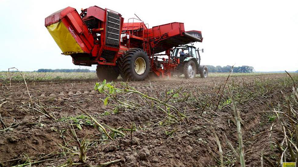 Van de Agria en Fontane consumptieaardappelen rooide Boes 50 tot 55 ton per hectare. „Ik heb 40 ton per hectare gecontracteerd. De rest is vrij en de prijzen daarvoor zijn met 17 tot 18 cent heel mooi.”