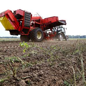 Van de Agria en Fontane consumptieaardappelen rooide Boes 50 tot 55 ton per hectare. „Ik heb 40 ton per hectare gecontracteerd. De rest is vrij en de prijzen daarvoor zijn met 17 tot 18 cent heel mooi.”
